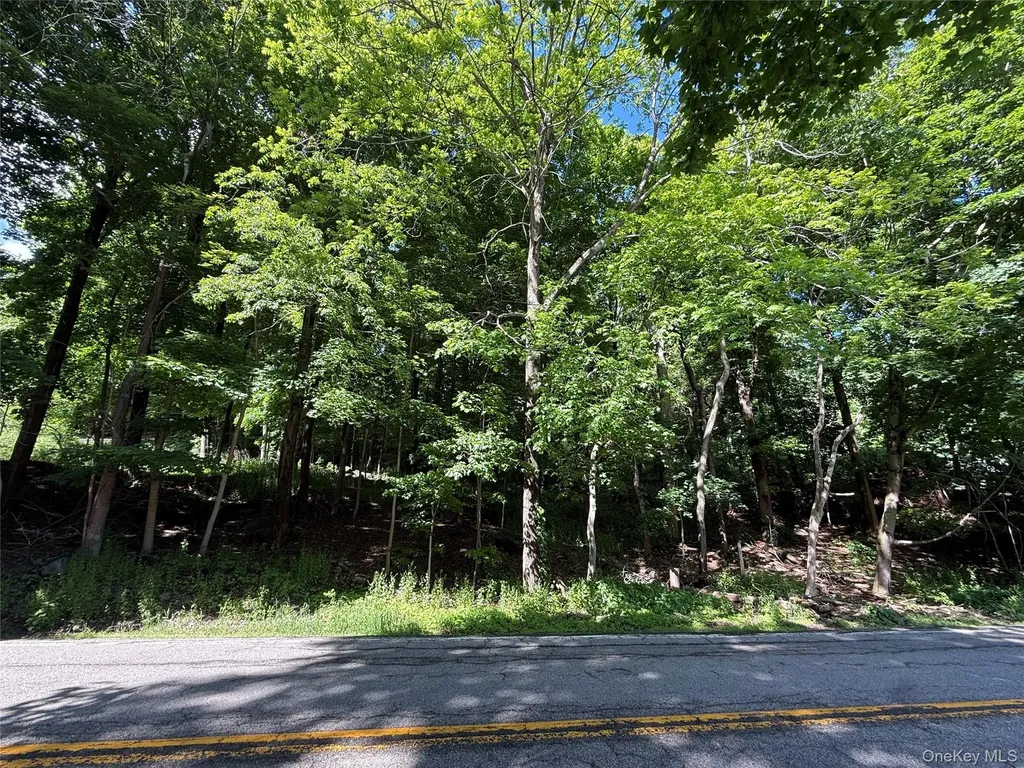 RT-292 Holmes NY 12531