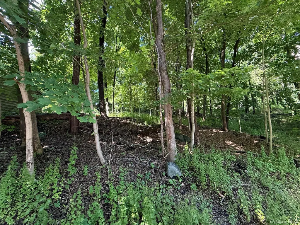 RT-292 Holmes NY 12531