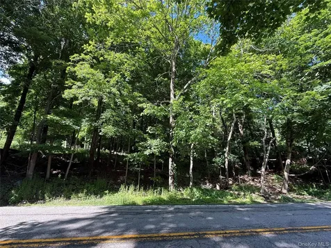 RT-292 Holmes NY 12531