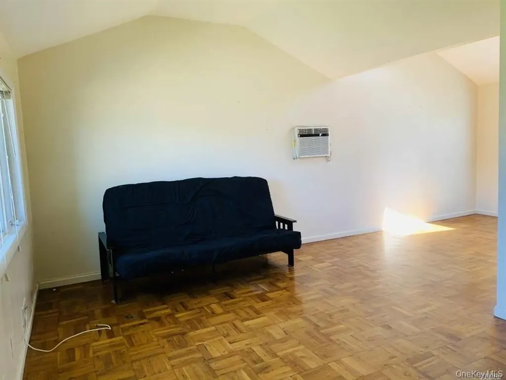 4 Willow Place Hicksville NY 11801