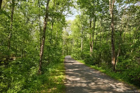 96 Plains Road New Paltz NY 12561