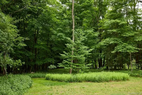 96 Plains Road New Paltz NY 12561