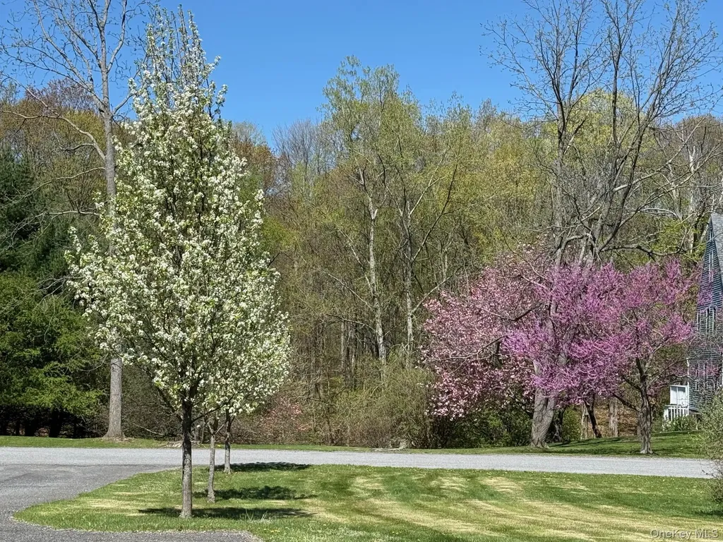 24 Mountain View Road Amenia NY 12501