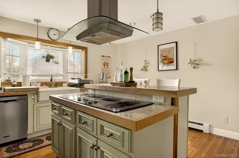 61 Merritt Kingston NY 12401