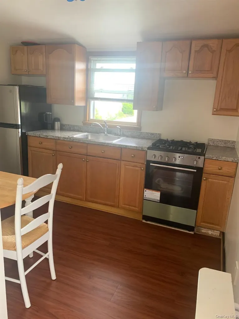 169 Litchfield Avenue Elmont NY 11003