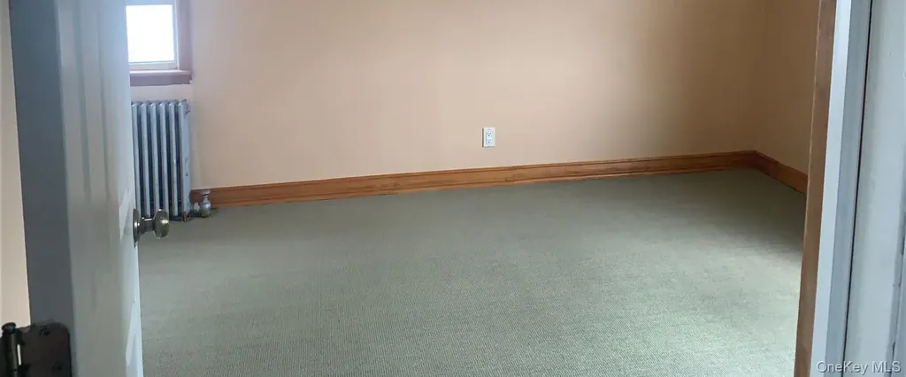 169 Litchfield Avenue Elmont NY 11003