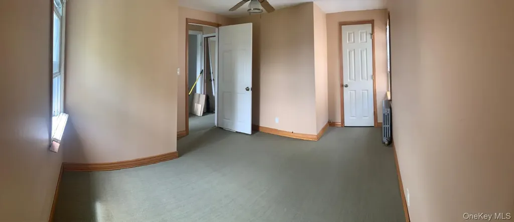 169 Litchfield Avenue Elmont NY 11003