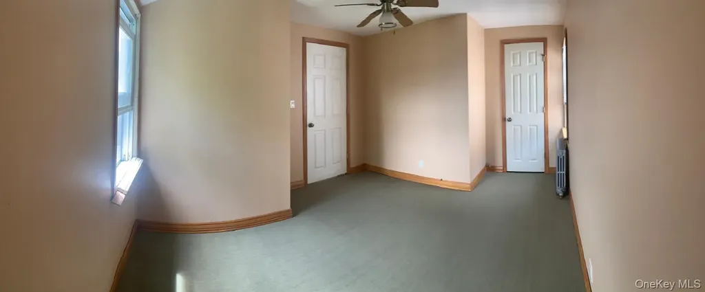 169 Litchfield Avenue Elmont NY 11003