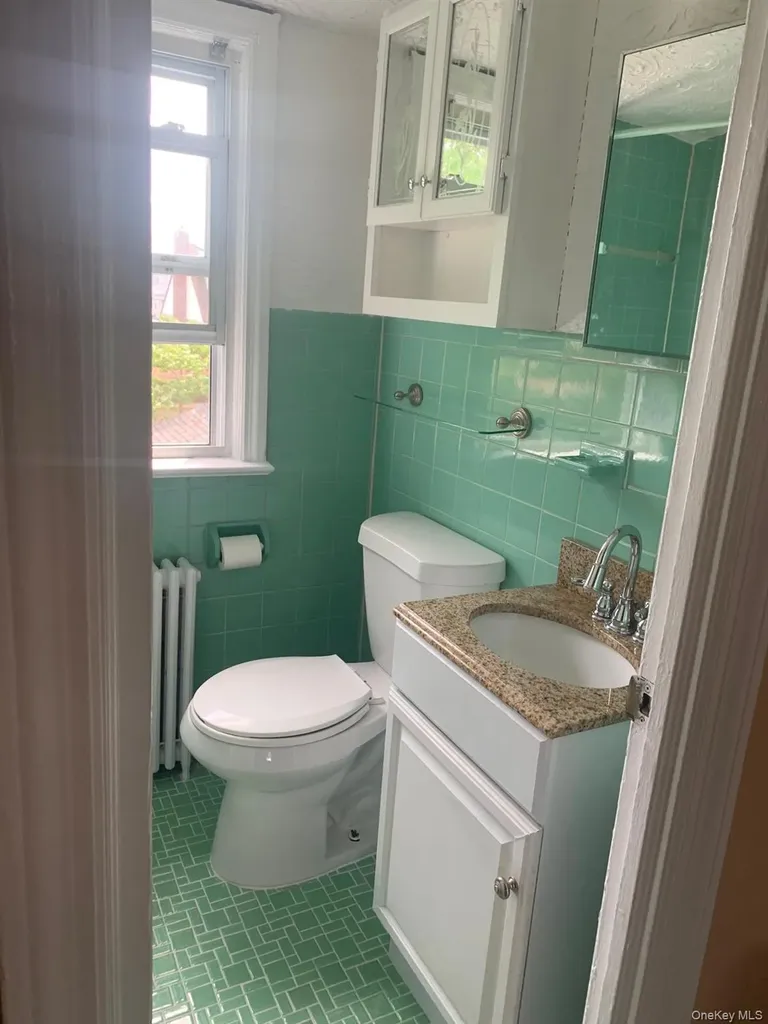 169 Litchfield Avenue Elmont NY 11003