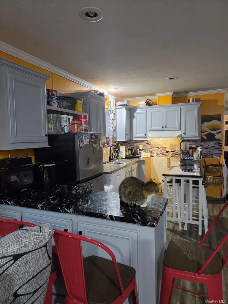 27 Shagbark Pleasant Valley NY 12569