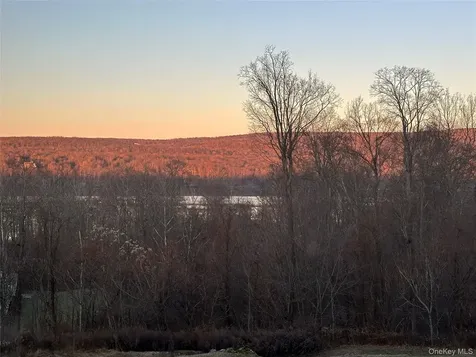 64 Hudson View Terrace Hyde Park NY 12538