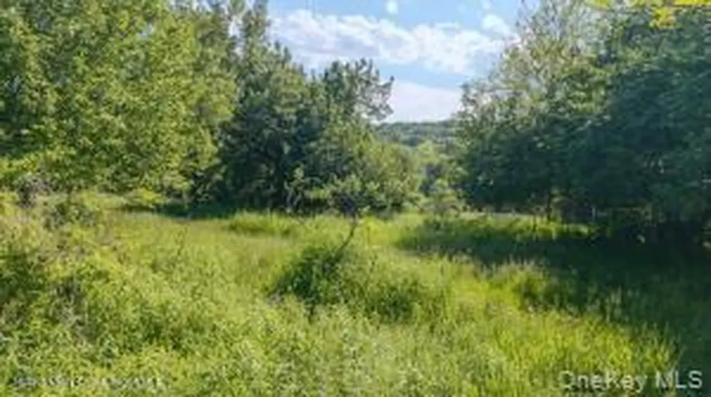 884 Camby Road Millbrook NY 12545