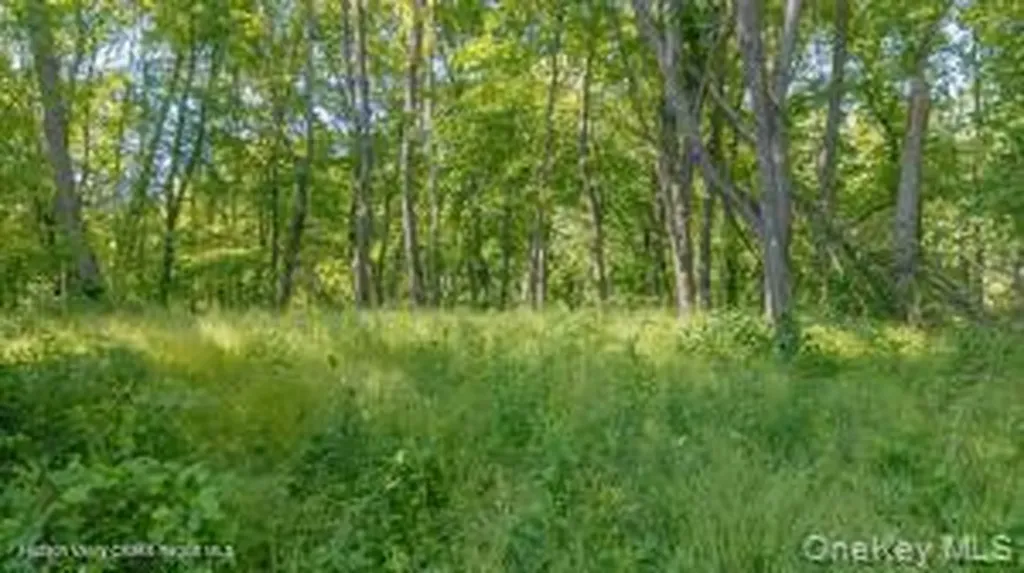 884 Camby Road Millbrook NY 12545