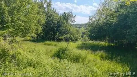 884 Camby Road Millbrook NY 12545