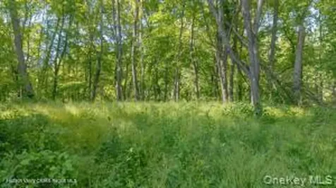 884 Camby Road Millbrook NY 12545