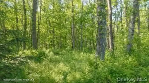 884 Camby Road Millbrook NY 12545