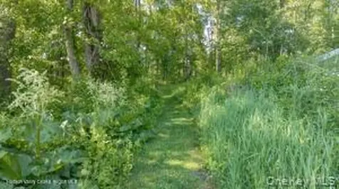 884 Camby Road Millbrook NY 12545