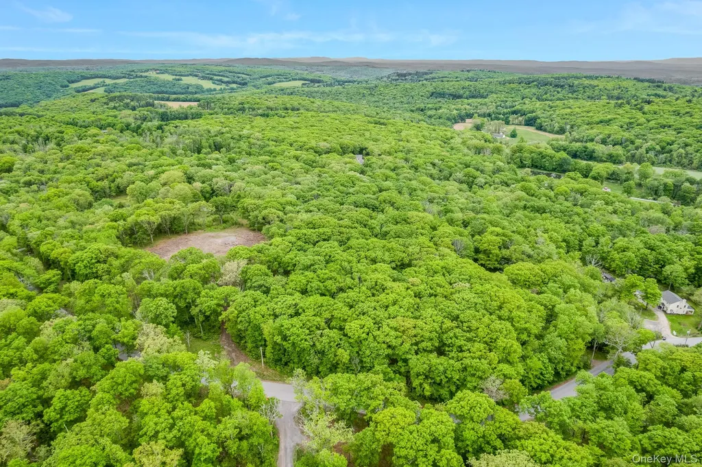 101 N Tower Hill Road Millbrook NY 12545