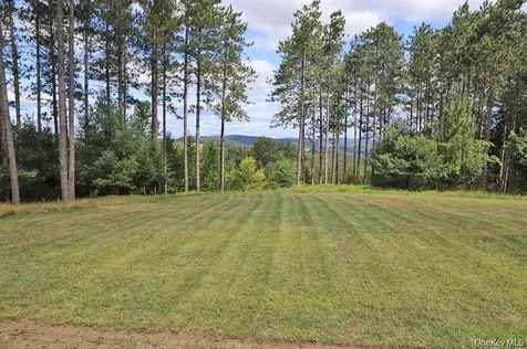 118 Froehlich Drive Callicoon NY 12723