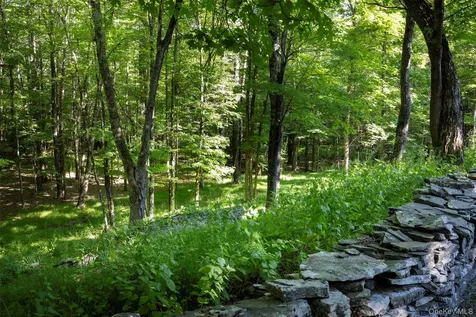 19 Blues Quarry Woodstock NY 12498