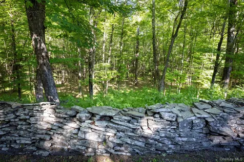 19 Blues Quarry Woodstock NY 12498