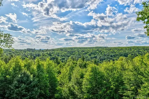 119 Lake Ridge Road Narrowsburg NY 12764