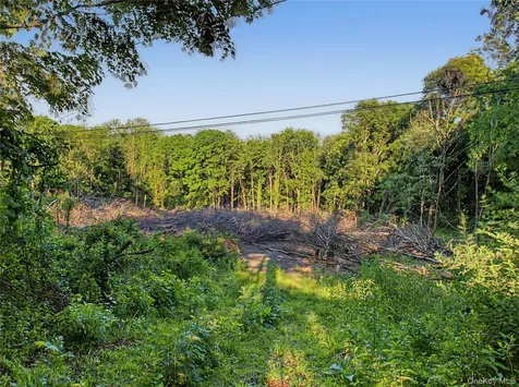 7 Cottage Road Hopewell Junction NY 12533
