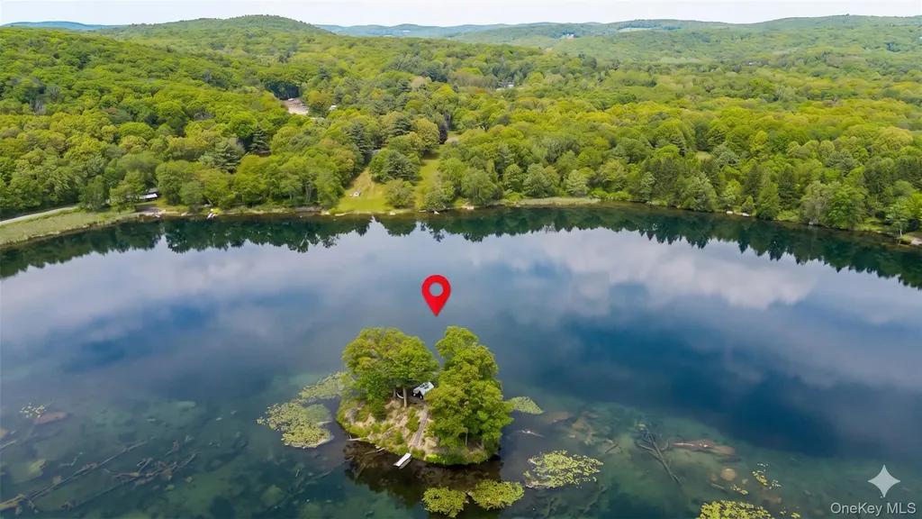 71 Lake Shore Road Pine Plains NY 12567