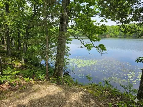 71 Lake Shore Road Pine Plains NY 12567