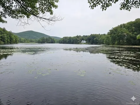 71 Lake Shore Road Pine Plains NY 12567
