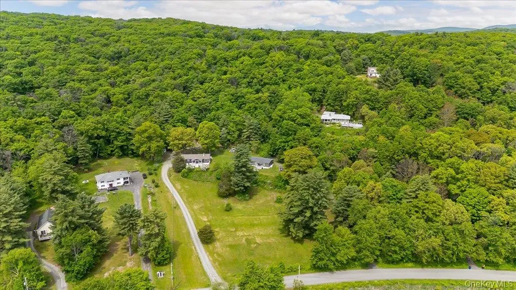 559 Lake Road Pine Plains NY 12567