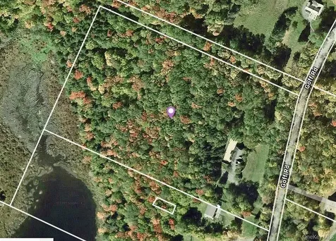 285 Goff Road Livingston Manor NY 12758
