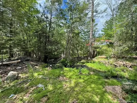 6 Beaver Brook Road Yulan NY 12792