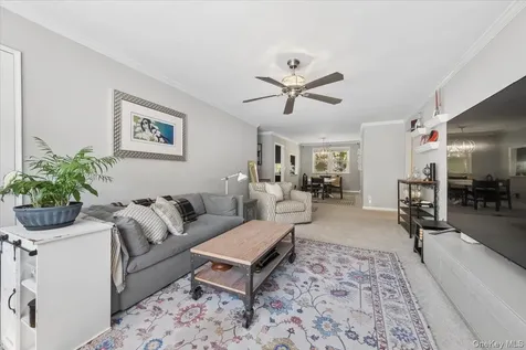 51 Avon Circle Rye Brook NY 10573