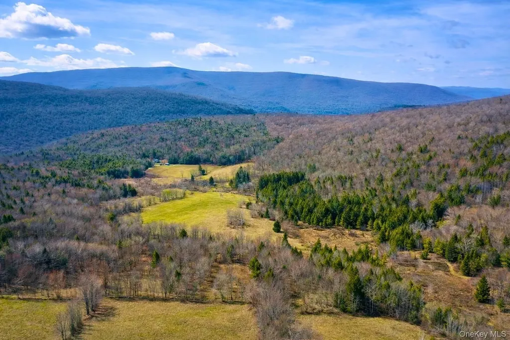 Hog Mountain Fleischmanns NY 12430