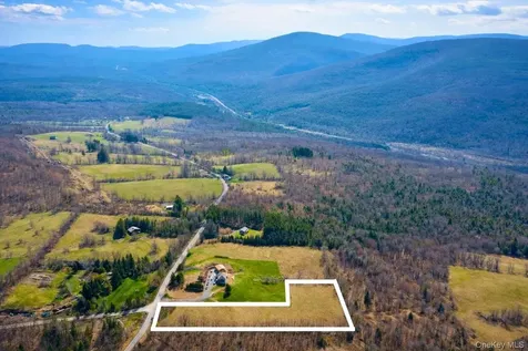 Hog Mountain Fleischmanns NY 12430
