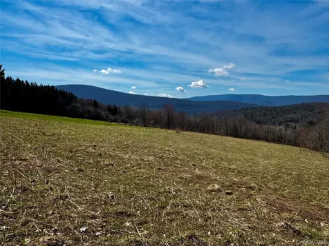 Hog Mountain Fleischmanns NY 12430