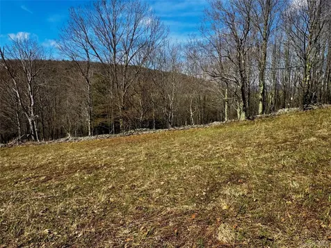 Hog Mountain Fleischmanns NY 12430