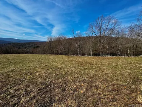 Hog Mountain Fleischmanns NY 12430