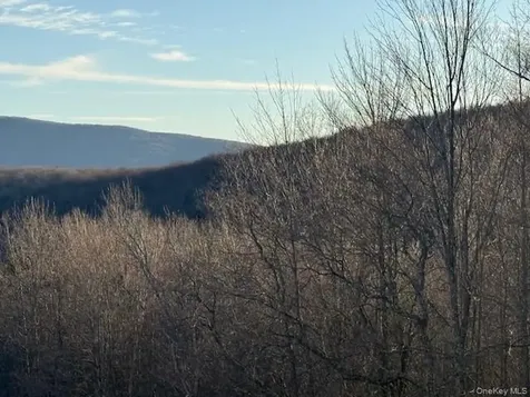 Hog Mountain Fleischmanns NY 12430