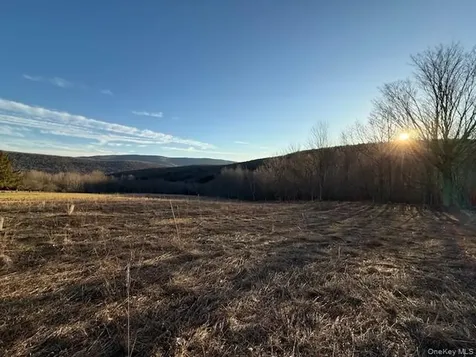 Hog Mountain Fleischmanns NY 12430