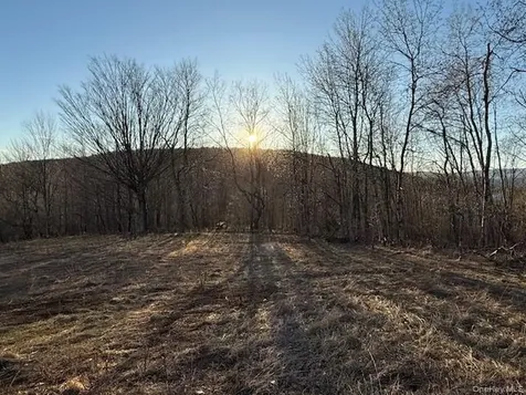 Hog Mountain Fleischmanns NY 12430