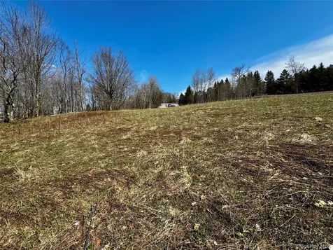 Hog Mountain Fleischmanns NY 12430
