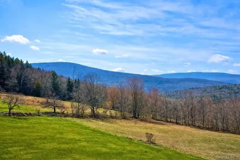 Hog Mountain Fleischmanns NY 12430