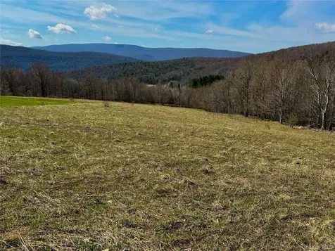 Hog Mountain Fleischmanns NY 12430