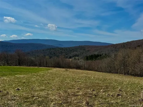 Hog Mountain Fleischmanns NY 12430