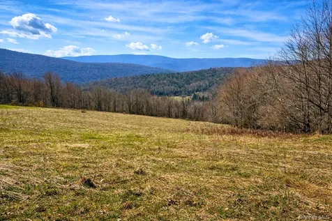 Hog Mountain Fleischmanns NY 12430