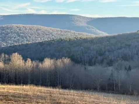 Hog Mountain Fleischmanns NY 12430