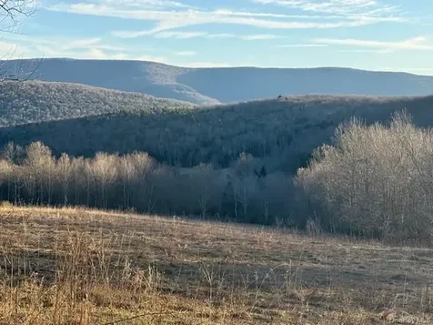 Hog Mountain Fleischmanns NY 12430