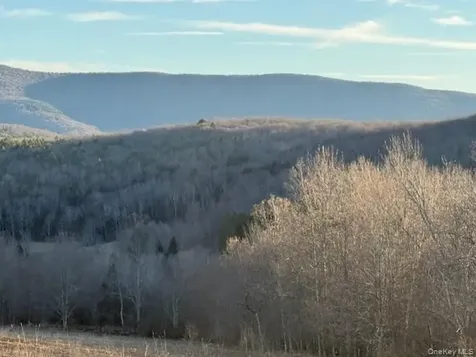 Hog Mountain Fleischmanns NY 12430